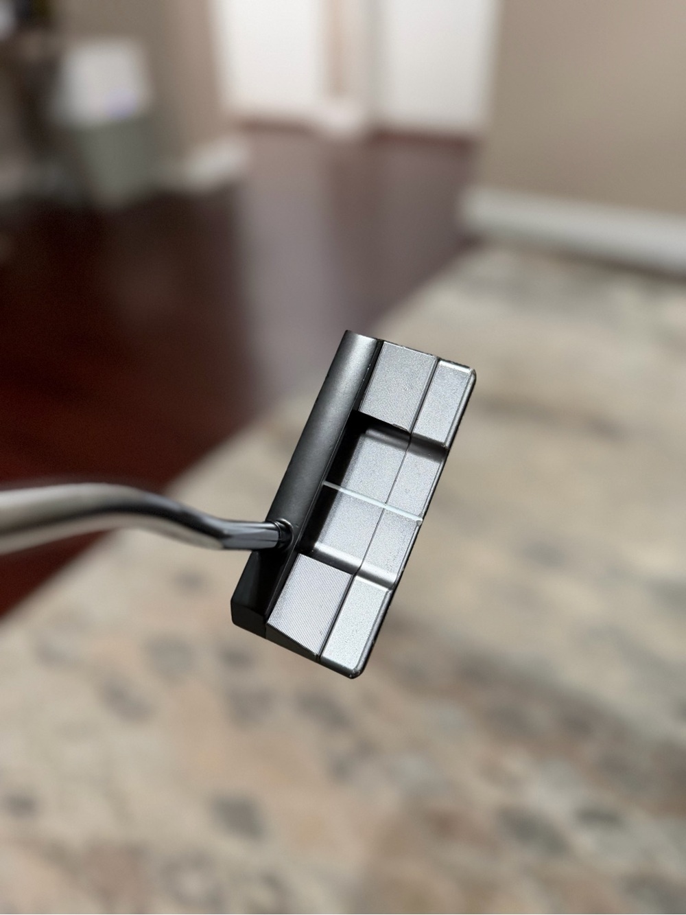 Lab stroke putter - Picture 3 of 5